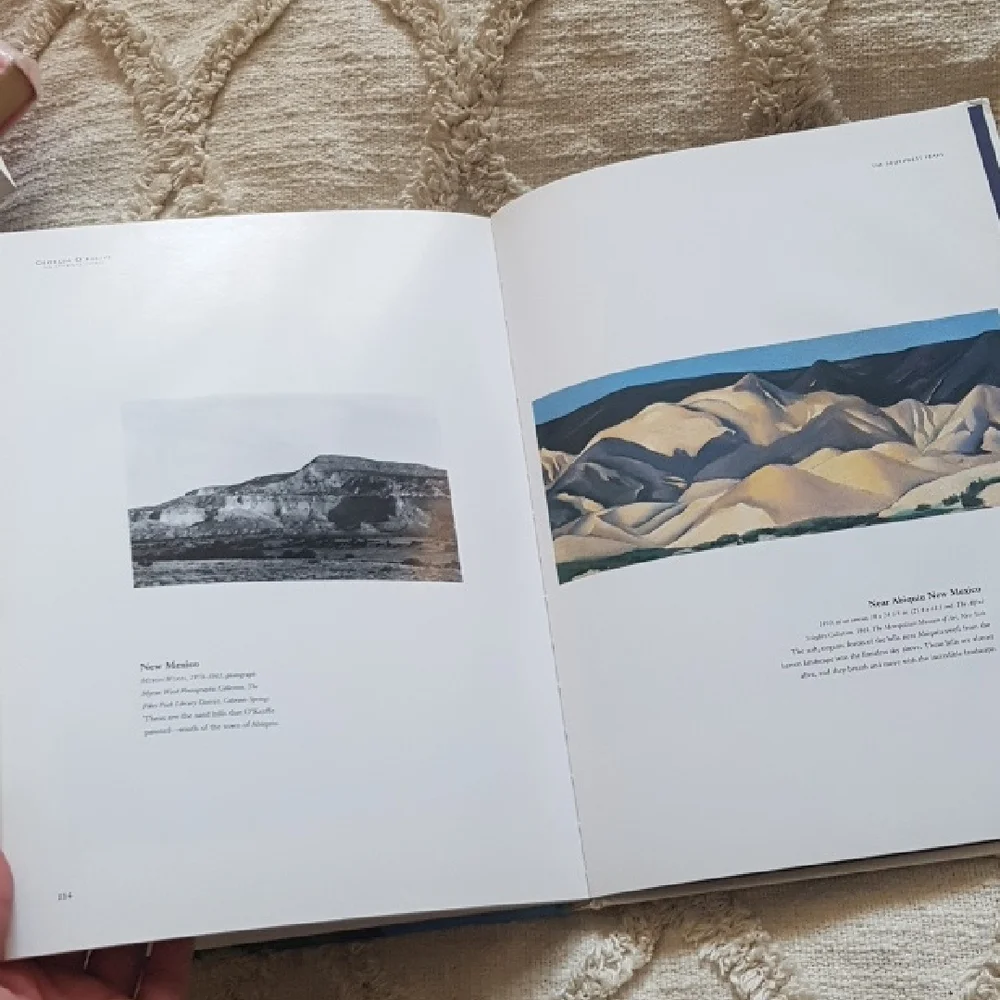 Georgia O'Keeffe: An Eternal Spirit by Susan Wright art book - Picture 8 of 12